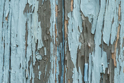 Full frame shot of old wooden wall