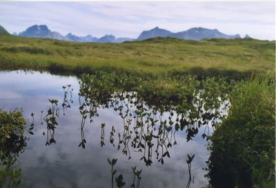 Scenic view of pond against mountains and sky in norway