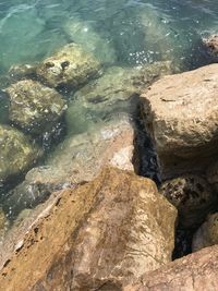 High angle view of rocks in sea