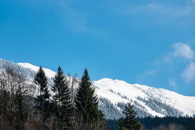 Low angle view of snowcapped mountains against sky