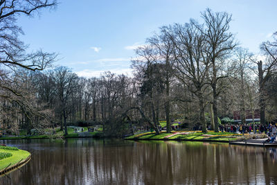 Trees by lake in park against sky