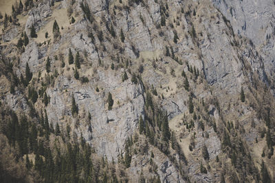 Full frame shot of rock