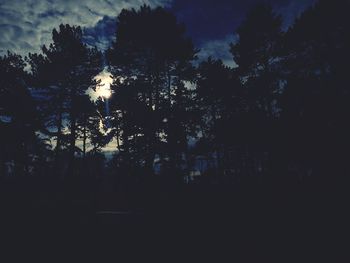 Low angle view of silhouette trees against sky at night