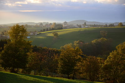 Trees on field against sky