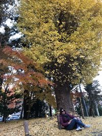 Young woman sitting on tree in park during autumn