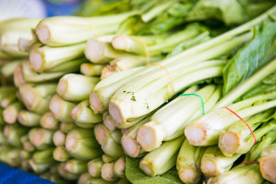 Bunches of fresh green leafy vegetables at asian street market. can be used as food background