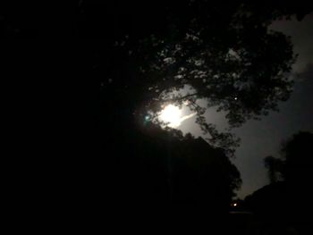 Low angle view of silhouette trees against sky at night