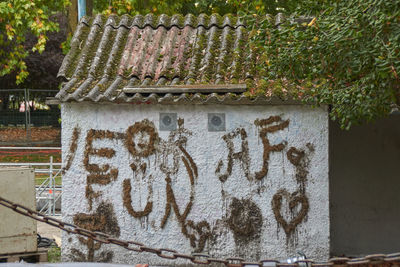 Close-up of text on plant