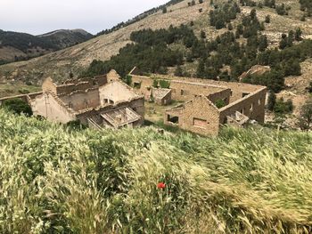 High angle view of trees and buildings