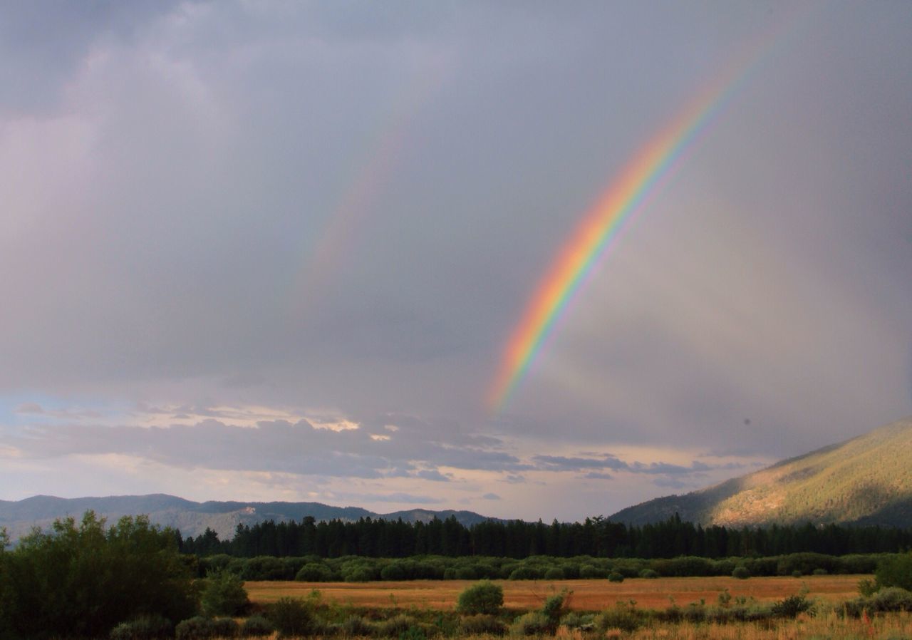 sky, scenics, tranquil scene, landscape, tranquility, rainbow, beauty in nature, cloud - sky, nature, multi colored, cloudy, idyllic, tree, mountain, field, weather, cloud, non-urban scene, outdoors, remote