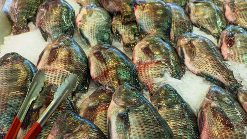 High angle view of fish for sale in market