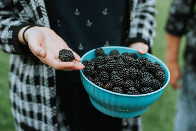 Holding fresh organic picked blackberry fruit from the garden