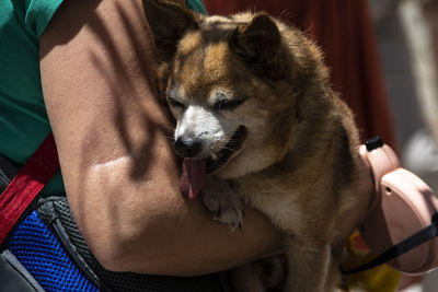 Close-up of man with dog