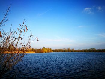 Scenic view of lake against clear blue sky