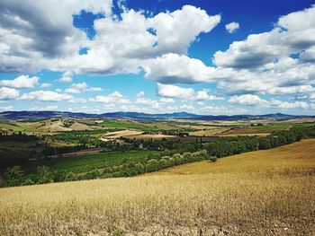 Scenic view of agricultural field against sky