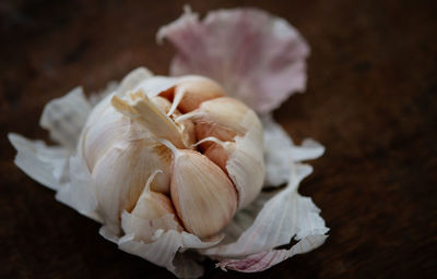 Close-up of garlic