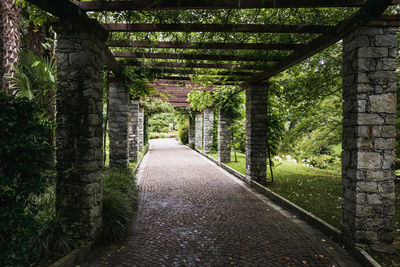 Footpath amidst trees in forest