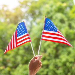 Close-up of hand holding flag