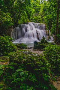 Scenic view of waterfall in forest