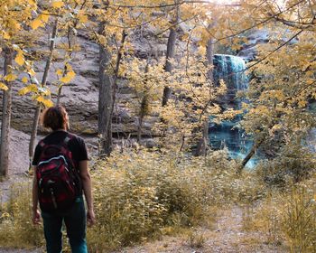 Rear view of woman standing in forest during autumn