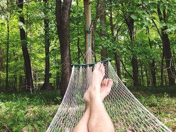 Low section of man relaxing in hammock at forest