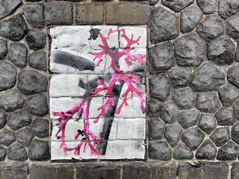 Close-up of pink flower on brick wall