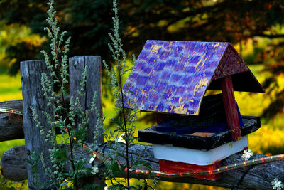 Close-up of birdhouse on wooden post