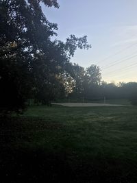 Trees on field against sky