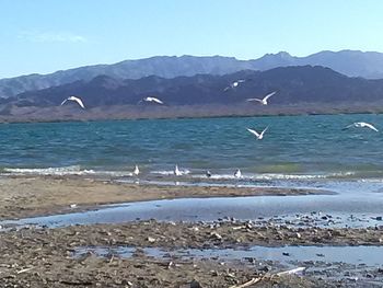 Scenic view of mountain range