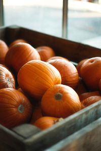 Close-up of pumpkins in crate