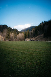 Scenic view of landscape against clear sky