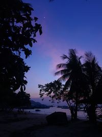 Low angle view of silhouette trees against sky at sunset