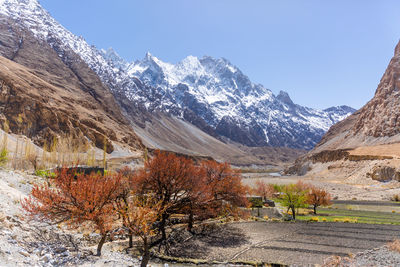 Scenic view of landscape and snowcapped mountains against sky