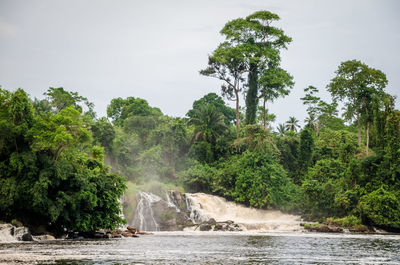 Scenic view of waterfall in forest against sky