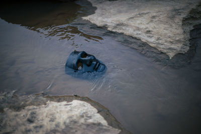 High angle view of man swimming in lake