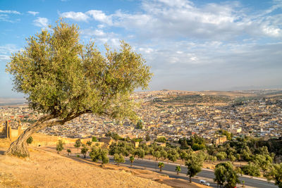 Overlooking fez, morocco from the marinid tombs on a hill