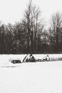 Bare trees on landscape