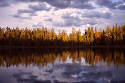 Reflection of trees in lake against sky during sunset