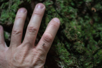 Close-up of human hand