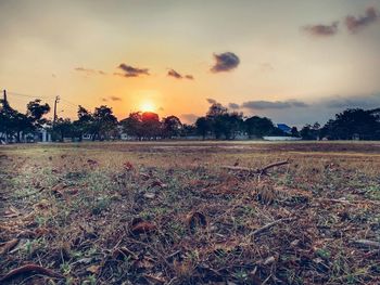 Scenic view of field against sky during sunset