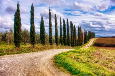 Road amidst trees against sky near bolgheri