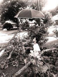 Woman sitting on plant by tree