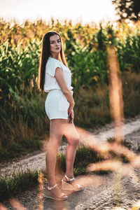 Young beautiful woman with brown hair in the corn field.