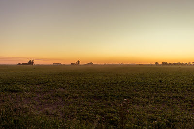 Scenic view of field against clear sky during sunset