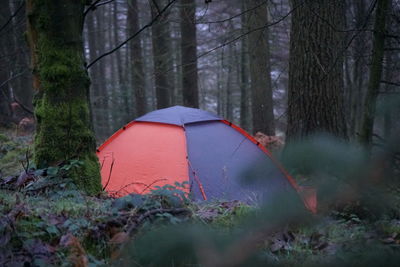 Tent on field by trees in forest