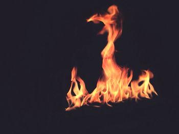 Close-up of bonfire at night