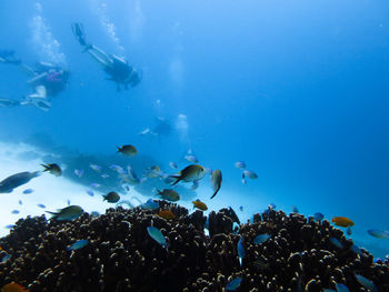 Underwater view of friends scuba diving in sea