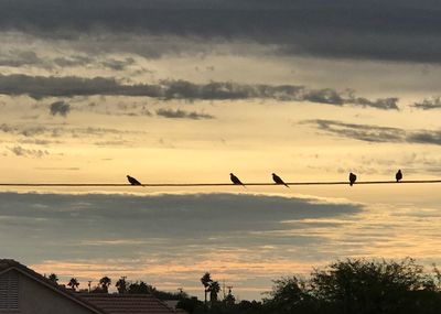 Silhouette birds flying against sky during sunset