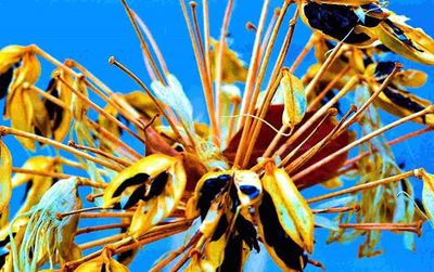 Low angle view of against blue sky