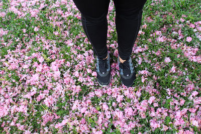 Low section of person standing on flower plants